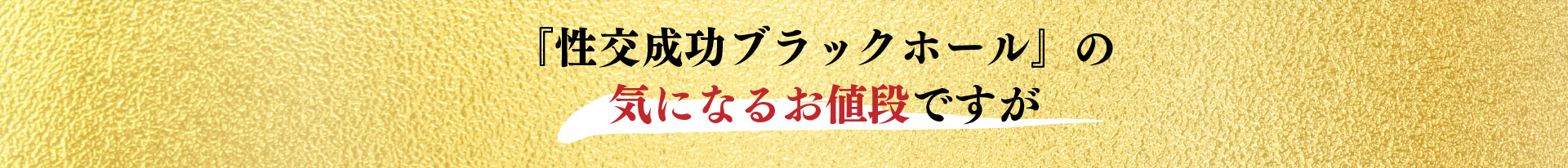 『性交成功ブラックホール』の気になるお値段ですが